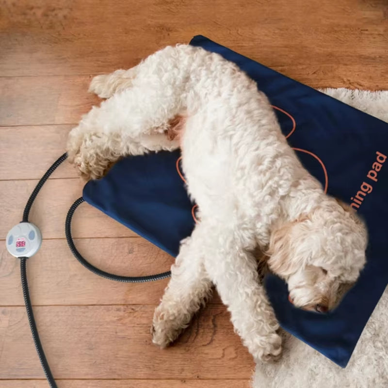 Waterproof Pet Heating Pad Electric Blanket Dog Cat Winter Warmer Pad 45×60Cm Adjustable Temperature Dog Mattress US/UK/EU